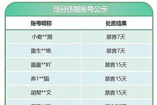 官方：加强对话，英超裁判公司和球迷协会成立工作组